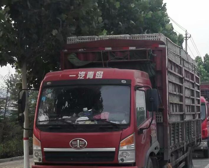 GPS車輛管理系統