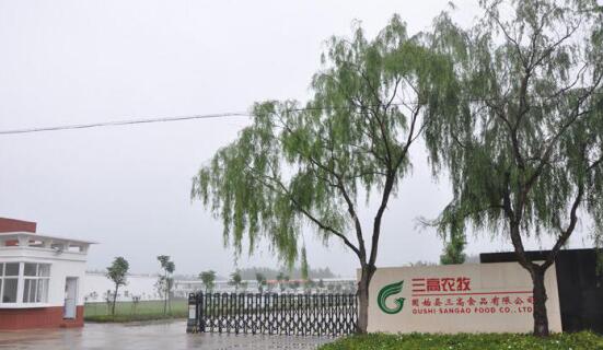 強磁GPS定位器